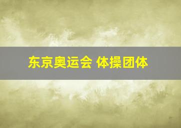 东京奥运会 体操团体